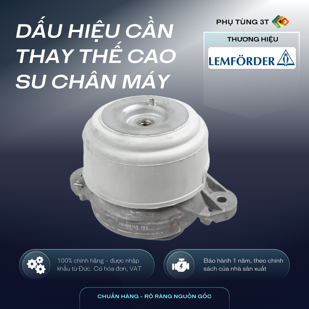 Dấu hiệu cần thay thế cao su chân máy