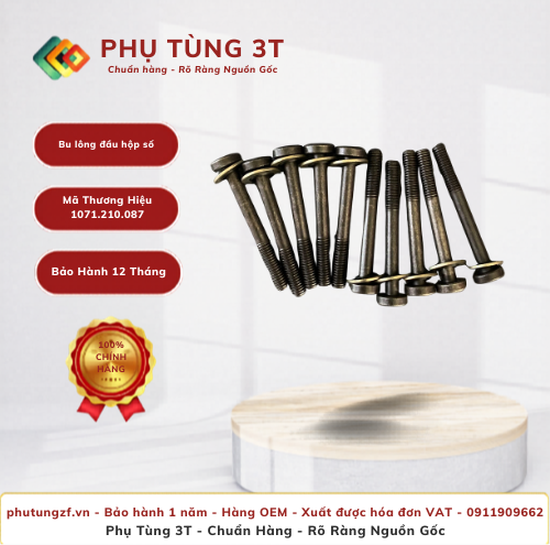 Bu lông đầu hộp số ZF 1071.210.087