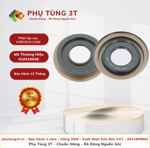 Phớt láp sau CORTECO 01031604B C250 E250 GL400 W204 W212 W166