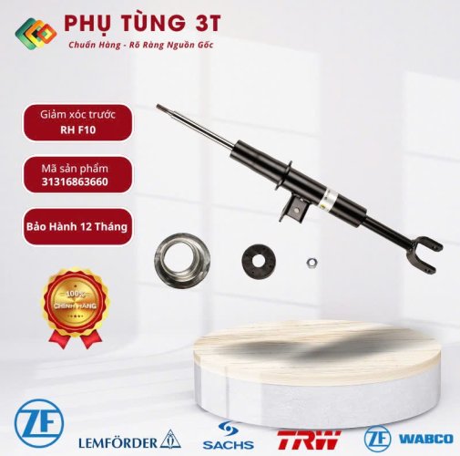 Giảm xóc trước RH F10 mã 31316863660